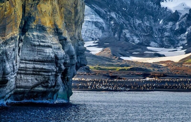 Birds Were Nesting in the Arctic 73 Million Years Ago — And They Lived Alongside Dinosaurs