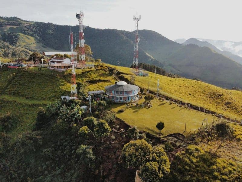 26 Real Reasons Why Bee Colonies Are Collapsing (It&#8217;s Not What You Think)