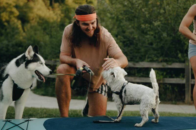 25 Incredibly Cute Miniature Animals You Can Actually Keep as Pets