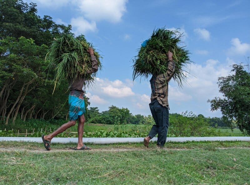 CO₂ Levels Just Hit a 10-Million-Year High—Here’s Why It Matters