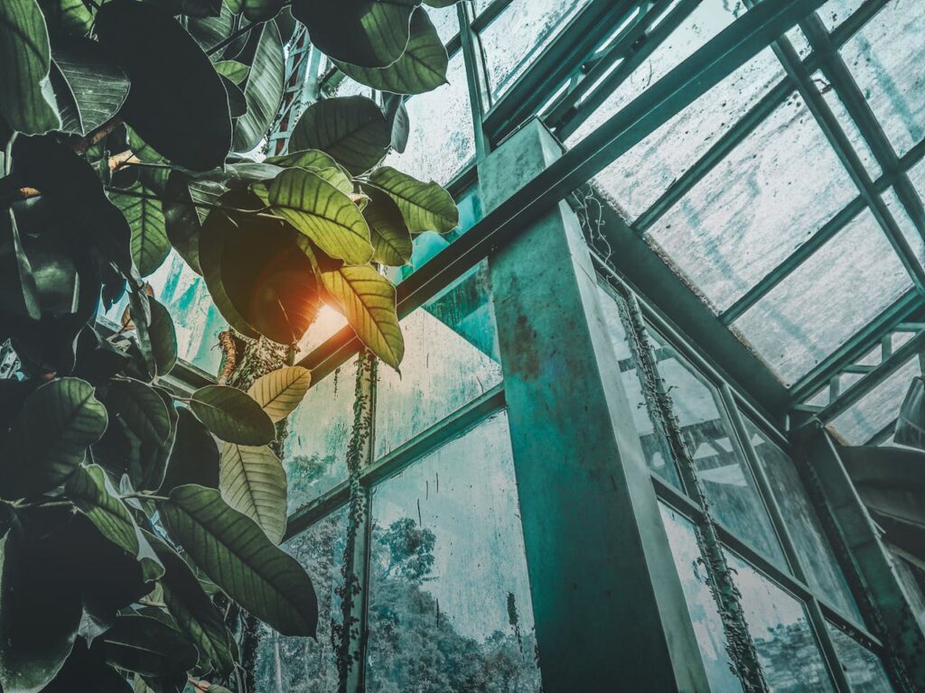 Space Farming: How Zero-Gravity Experiments Are Revolutionizing Crop Cultivation on Earth