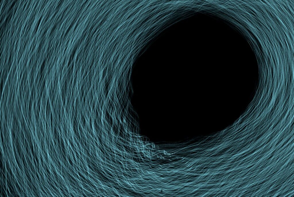 New Insights into Black Hole Growth: How They Sustain Galactic Ecosystems