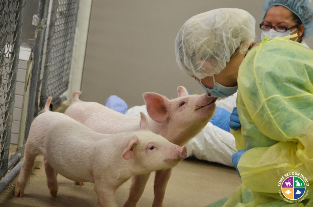 Animal Intelligence Will Blow Your Mind — 34 Incredible Facts About How Smart Pets Really Are