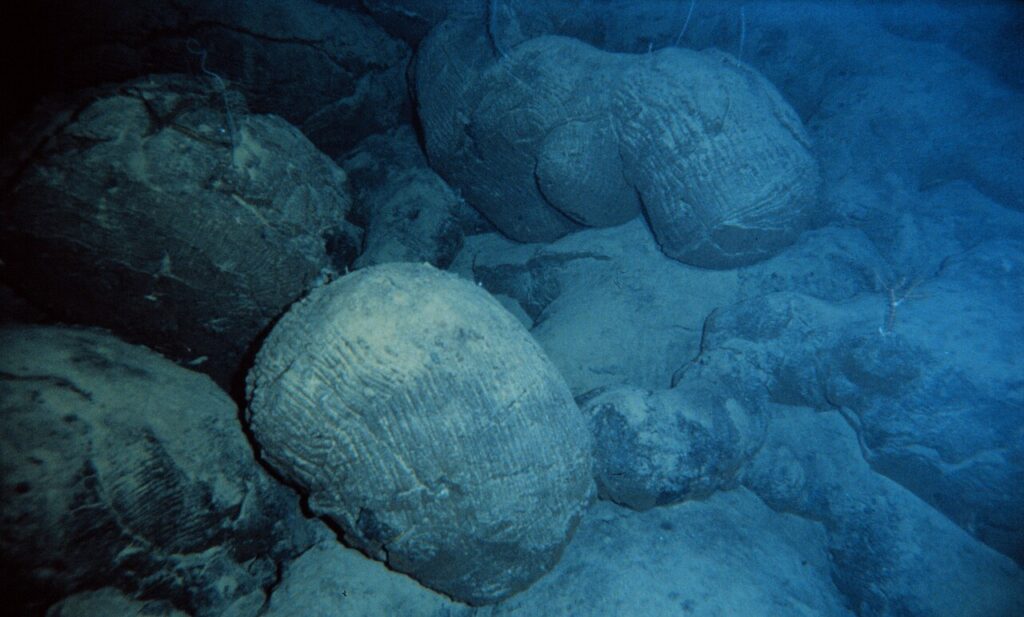 Unexpected Underwater Structures in South Pacific Offer New Clues to Plate Tectonics Dynamics