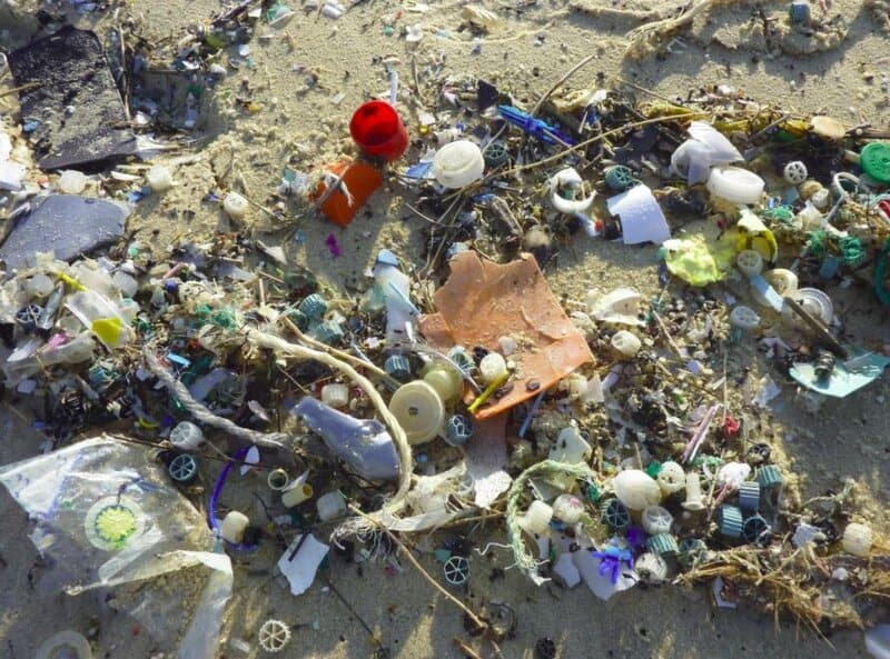 I&#8217;m a Marine Biologist—Here Are 28 Shocking Things I&#8217;ve Found in Ocean Plastic