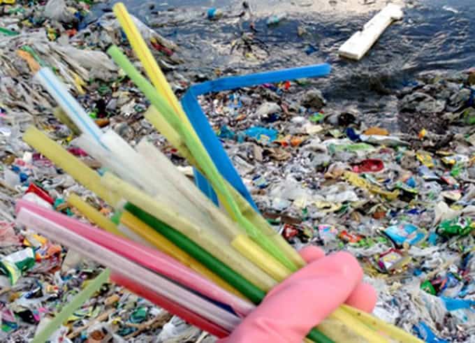 I&#8217;m a Marine Biologist—Here Are 28 Shocking Things I&#8217;ve Found in Ocean Plastic
