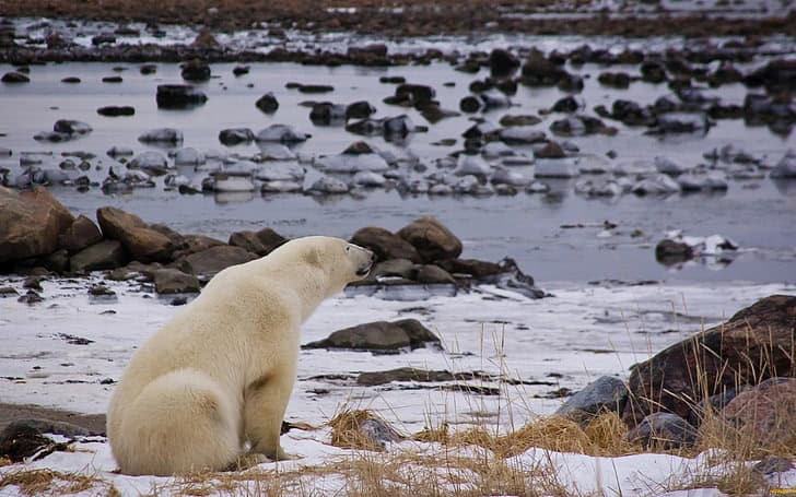 23 Devastating Changes I Witnessed During 6 Months in the Arctic