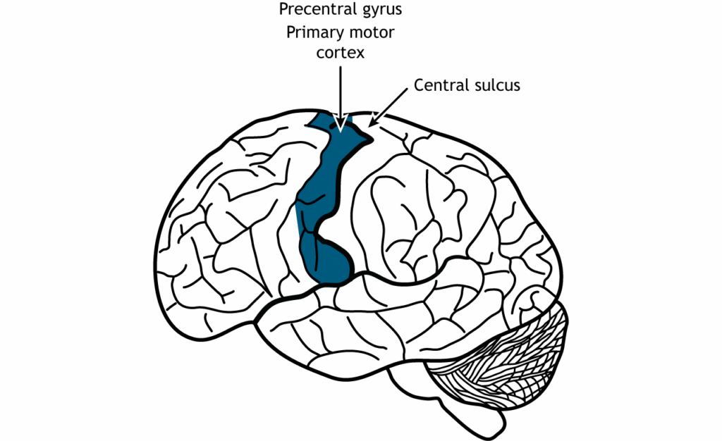 The most complex machine in the universe is in your head: 23 brain functions scientists can&#8217;t replicate