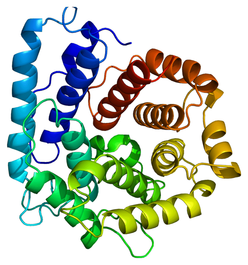 Breakthrough Study Uncovers New Biomarkers for Early Detection of Alzheimer&#8217;s Disease