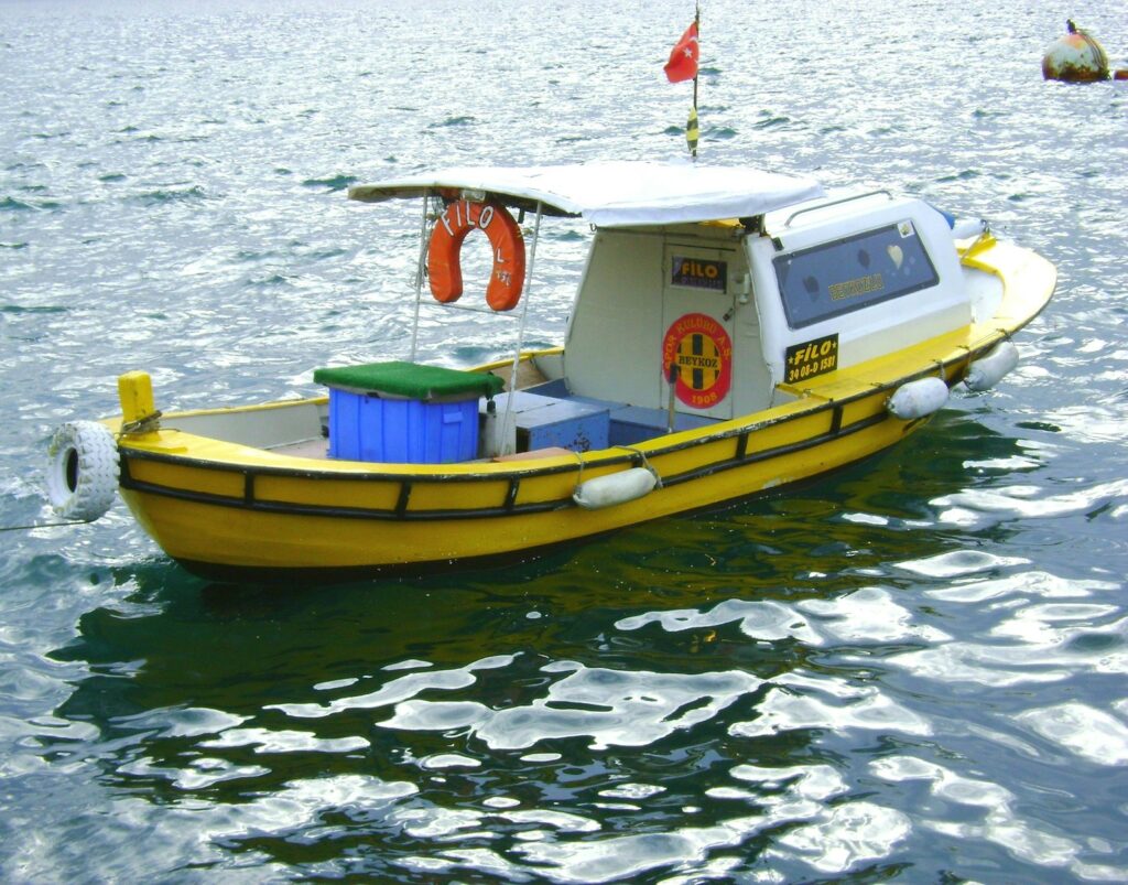 Birds Were Nesting in the Arctic 73 Million Years Ago — And They Lived Alongside Dinosaurs