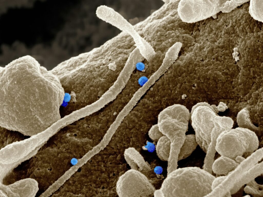 We&#8217;re building life from scratch: 27 biological processes recreated in laboratories