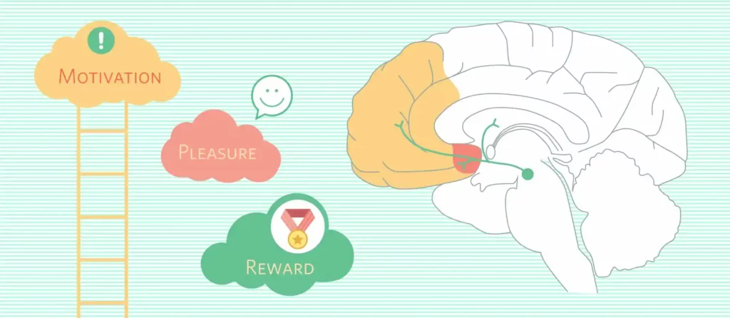 I Hacked My Own Brain for 30 Days—The Results Terrified Me