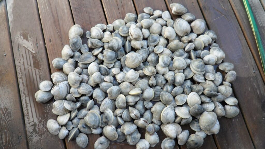 Why Some Animals Age Backwards and Get Younger Every Year