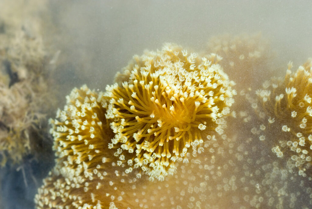 32 Animals That Control the Weather Like Tiny Gods