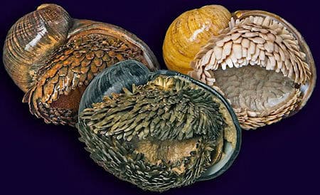 27 Creatures That Glow in the Dark (And Why They Do It)