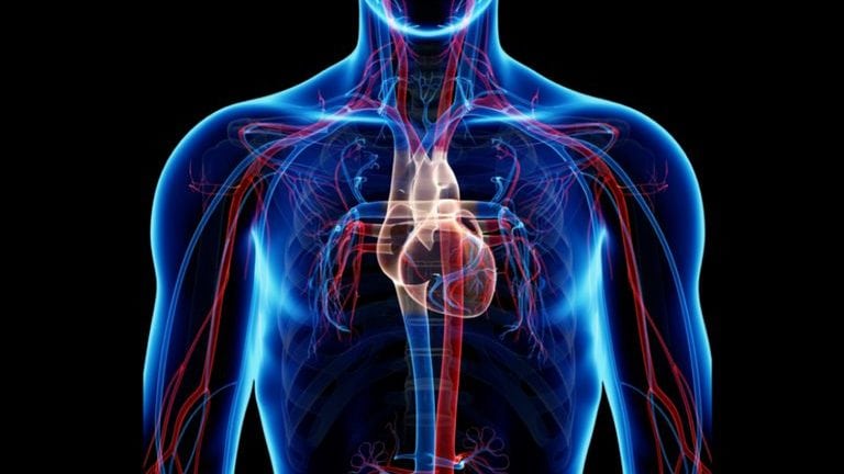 Life After Smoking — 28 Incredible Changes Your Body Will Thank You For