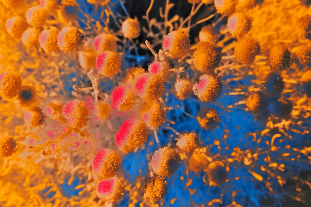 We&#8217;re building life from scratch: 27 biological processes recreated in laboratories