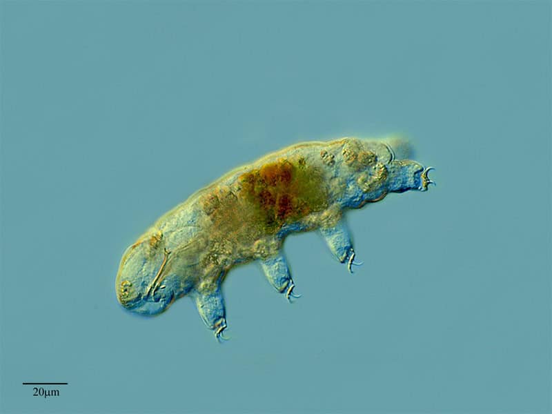 Why Everything You Learned in Biology Class Is Outdated — 28 Recent Discoveries That Rewrote the Rules