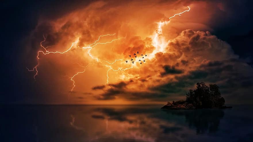 I Followed Migrating Birds for 3 Years: 24 Mind-Blowing Navigation Secrets They Use