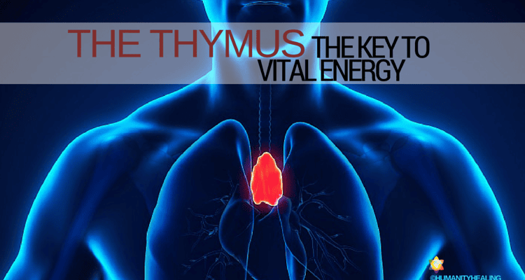 Evolution&#8217;s Biggest Mistakes: 24 Body Parts That Prove We&#8217;re Still Works in Progress