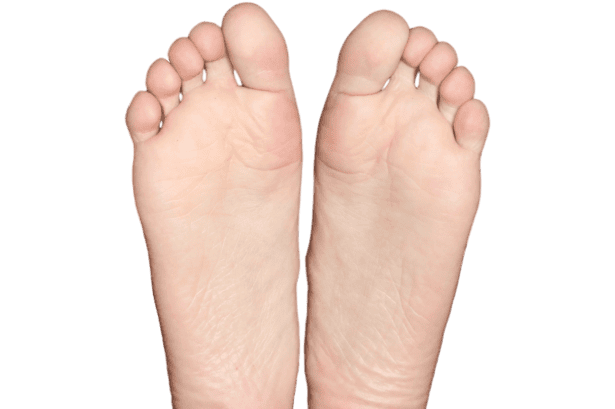 Evolution&#8217;s Biggest Mistakes: 24 Body Parts That Prove We&#8217;re Still Works in Progress