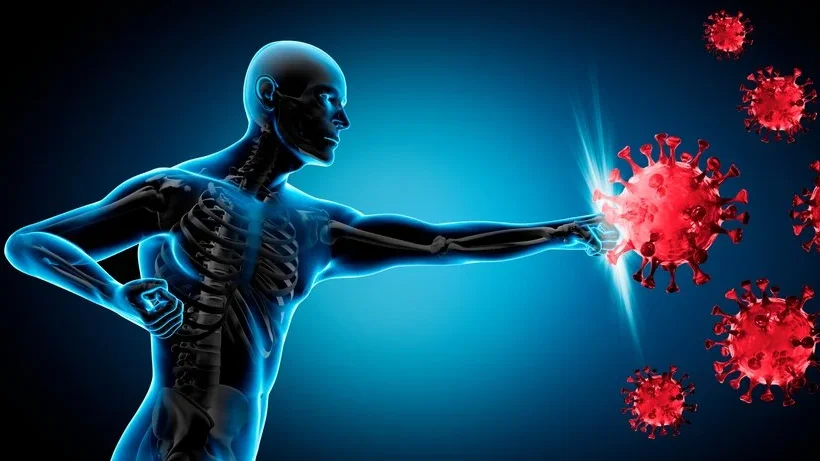 Small Molecules Induce Trained Immunity, Opening a New Way To Fight Disease