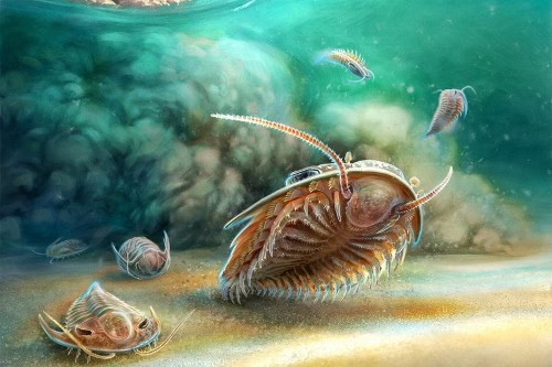 This 500-Million-Year-Old Sea Monster Was Discovered Perfectly Intact—And It&#8217;s Changing Everything We Know