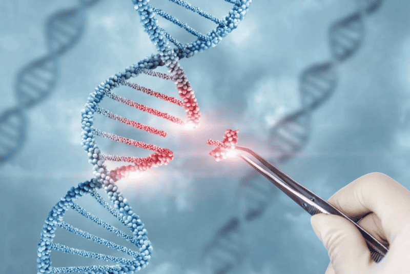 Engineering the Future: How Gene Editing is Shaping the Next Generation of Humanity