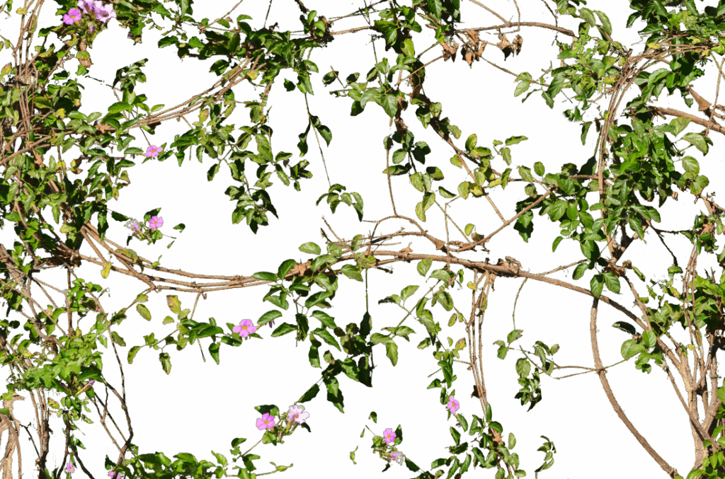 25 Brilliant Engineering Solutions Nature Invented First