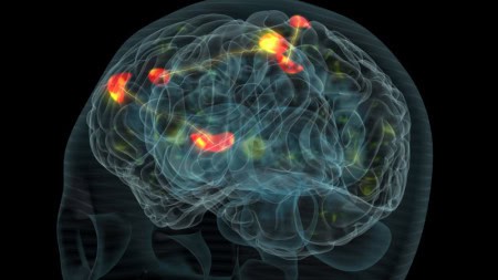 While you sleep, your body performs miracles: 23 overnight processes that keep you alive