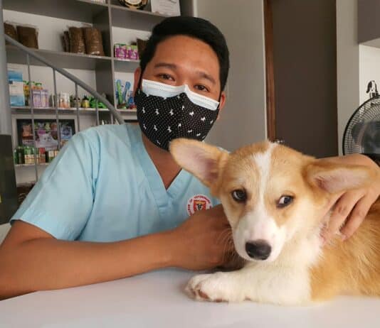Why Dogs Are Being Put on Anxiety Medication – Animal Emotions Are Deeper Than You Think