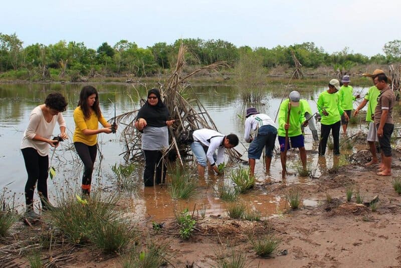Carbon-Neutral Adventures: How Costa Rica&#8217;s Eco-Lodges Are Redefining Responsible Travel