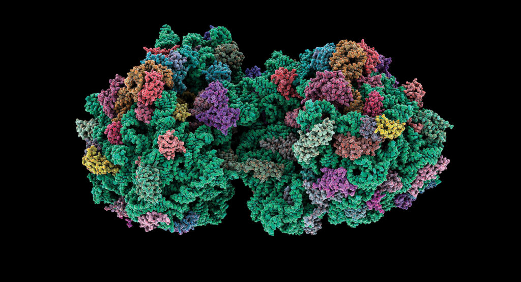 15 Times Scientists Made “Proto-Life” in a Lab