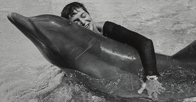 Scientists Who Taught Dolphins to Speak English (and It Got Really Weird)