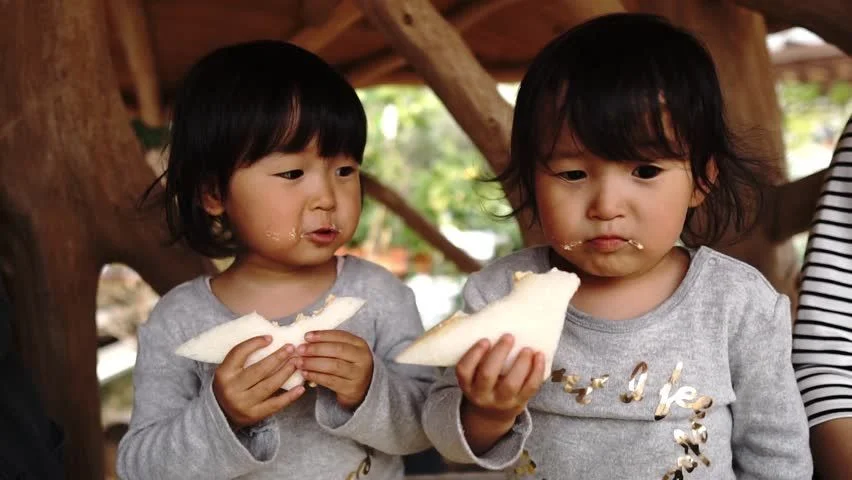 I Study Identical Twins—What I&#8217;ve Discovered About DNA Will Disturb You