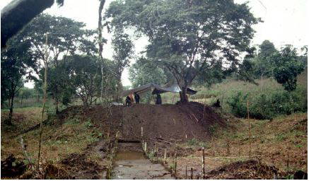Ancient Amazonians Built 6,000 Connected Platforms &#8211; Lost Civilization Found