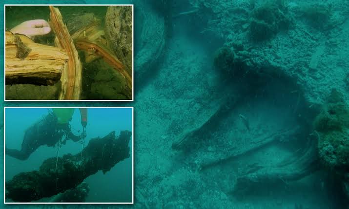 Marine Biologists Discover 60,000-Year-Old Underwater Forest Off Alabama Coast