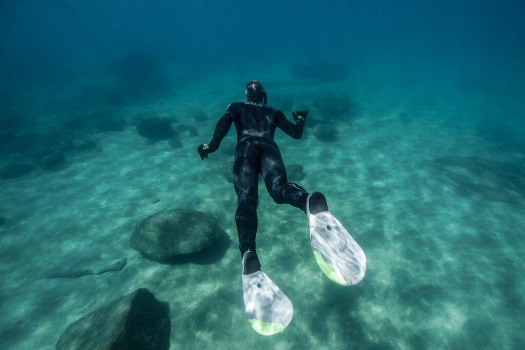 Marine Biologists Discover 60,000-Year-Old Underwater Forest Off Alabama Coast