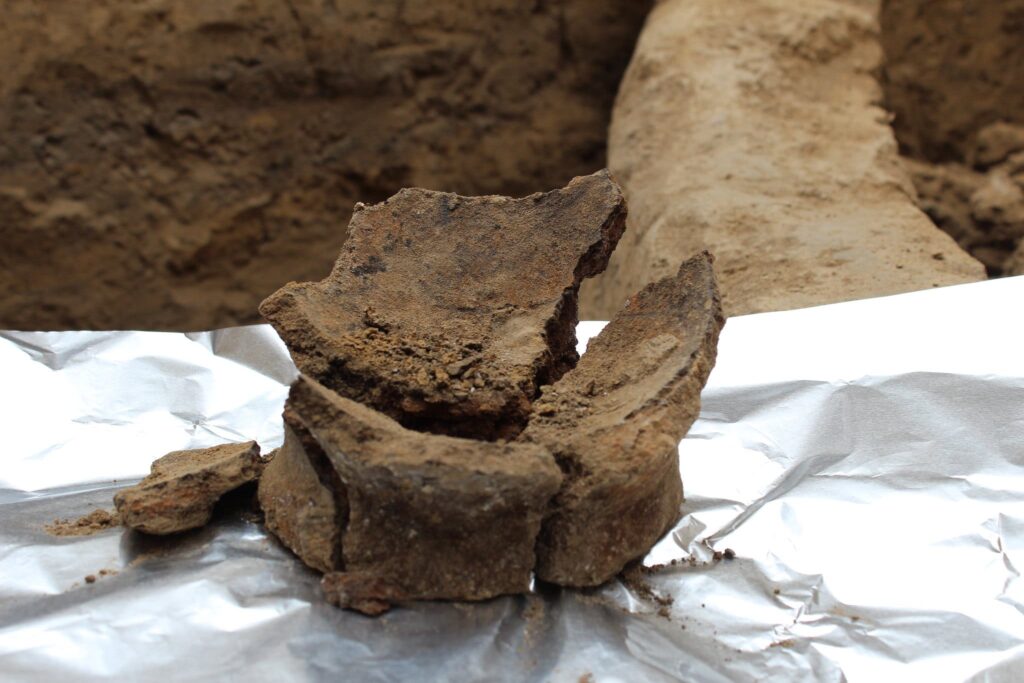 Researchers Find World&#8217;s Oldest Wine in 8,000-Year-Old Clay Jars in Georgia