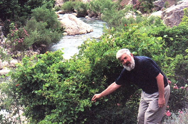 Researchers Find World&#8217;s Oldest Wine in 8,000-Year-Old Clay Jars in Georgia