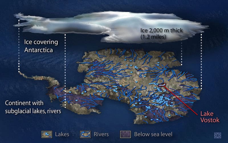 Breaking Ice: Revolutionary Discoveries Reveal Antarctica&#8217;s Hidden Biological Treasures
