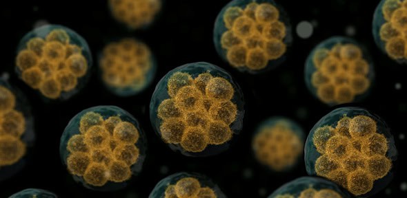 Scientists Built a Computer Out of DNA—And It&#8217;s Already Solving Cancer