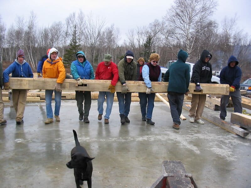 Forest Apocalypse: Why 2025&#8217;s Deforestation Crisis Threatens Human Civilization