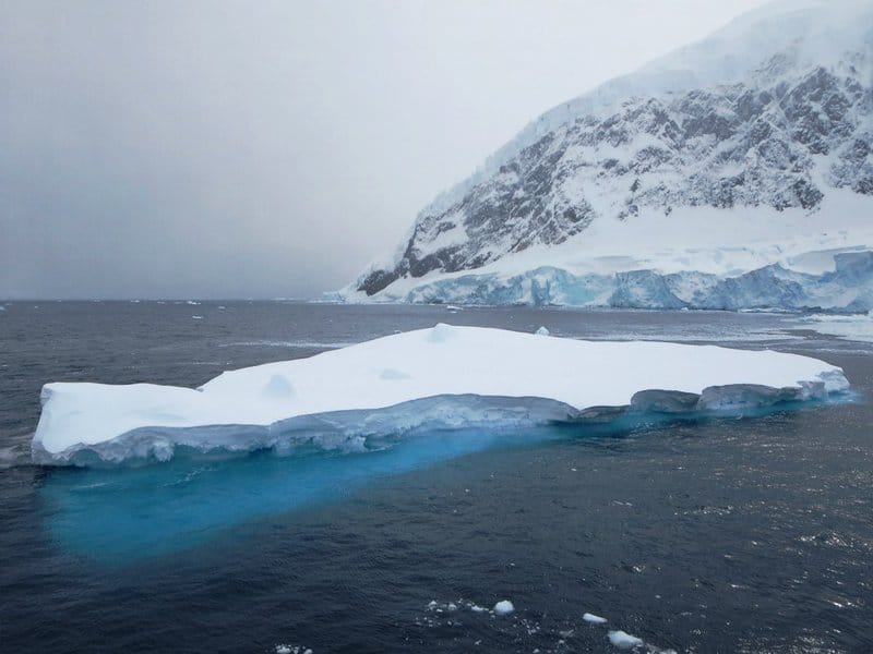 Climate Science Research Reveals Antarctic Greening Signals Rapid Ecosystem Disruption and Climate Tipping Points
