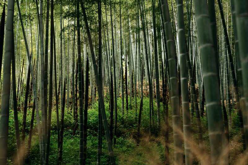 What Are You Living For? Science Says That Answer Could Save Your Life