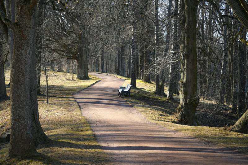Why Walking Backwards for 10 Minutes Daily Is the New Fitness Trend Everyone&#8217;s Talking About