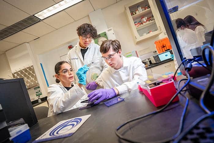 Researchers Discover CRISPR Gene-Editing System in Bacterial Immune Systems