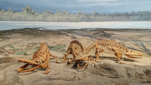 Massive Extinct Salamander With Vice-Like Jaws Found in Tennessee Fossil