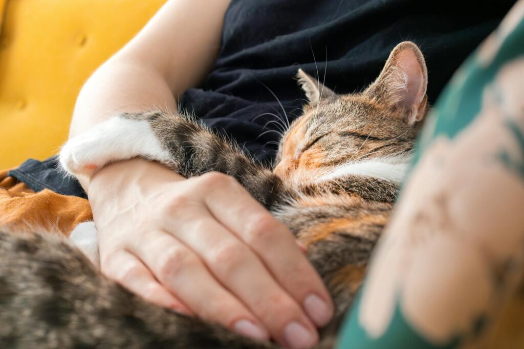 Why Your Cat&#8217;s Purr Is Literally Healing You—The Frequency That Repairs Bones