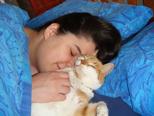 Why Your Cat&#8217;s Purr Is Literally Healing You—The Frequency That Repairs Bones